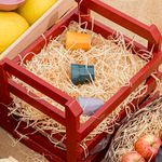 Oxford_Campanha_Mag-14_22-copiar-2