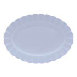 2903_Flora_Aster_Bandeja