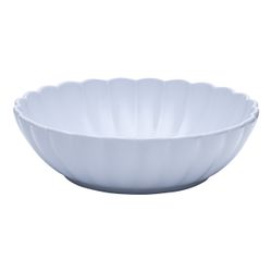 2903_Flora_Aster_Saladeira