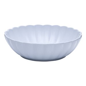 2903_Flora_Aster_Saladeira