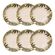 Conjunto_Tropicano_Fundo_06