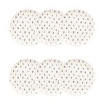 136237_Flat_Samambaia_Prato_Sobremesa_20cm_06