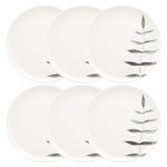 136238_Flat_Samambaia_Prato_Raso_26cm_06