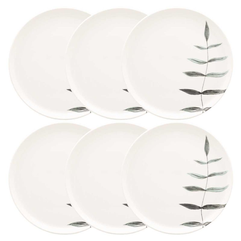 136238_Flat_Samambaia_Prato_Raso_26cm_06 136238_Flat_Samambaia_Prato_Raso_26cm_06