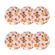 127277_Conjunto_6_Pratos_Sobremesa_185Cm_Unni_Piquenique