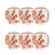 126321_Conjunto_6_Pratos_Sobremesa_185Cm_Unni_Buque_Tropical