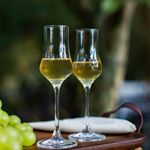 Taca-de-grappa-ambientada