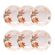 126323_Conjunto_6_Pratos_Fundos_205Cm_Unni_Buque_Tropical