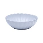 2903_Flora_Aster_Fruteira