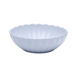 2903_Flora_Aster_Fruteira