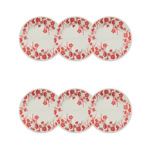 biona-prato-sobremesa-donna-jardim-oriental-01