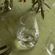 Vinho-tinto-Easy--1-.jpg