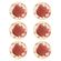 Donna_Cha_das_5_Prato_Xicara_Pires_06