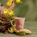 caneca-tulipa-boto