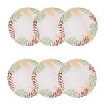 Conj_6_Caminho_da_Selva_Fundo