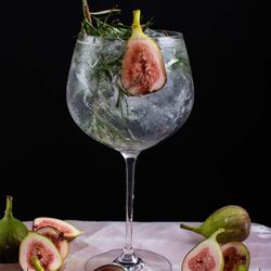 Taca-de-gin-ambientada